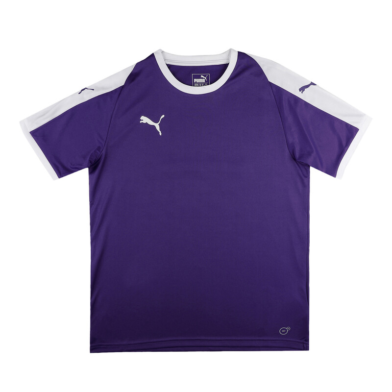 PUMA LIGA Youth Football Jersey