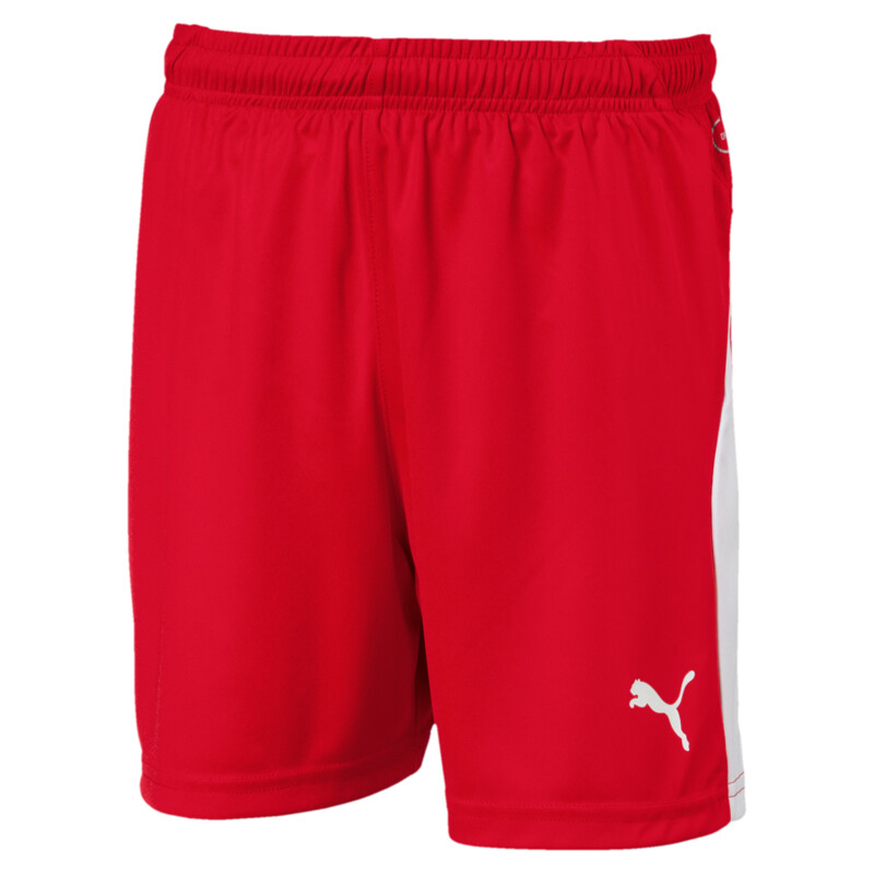 PUMA Football Kids' LIGA Shorts