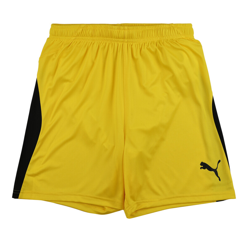

PUMA Football Kids' LIGA Shorts