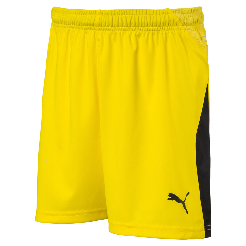 

PUMA LIGA Youth Shorts