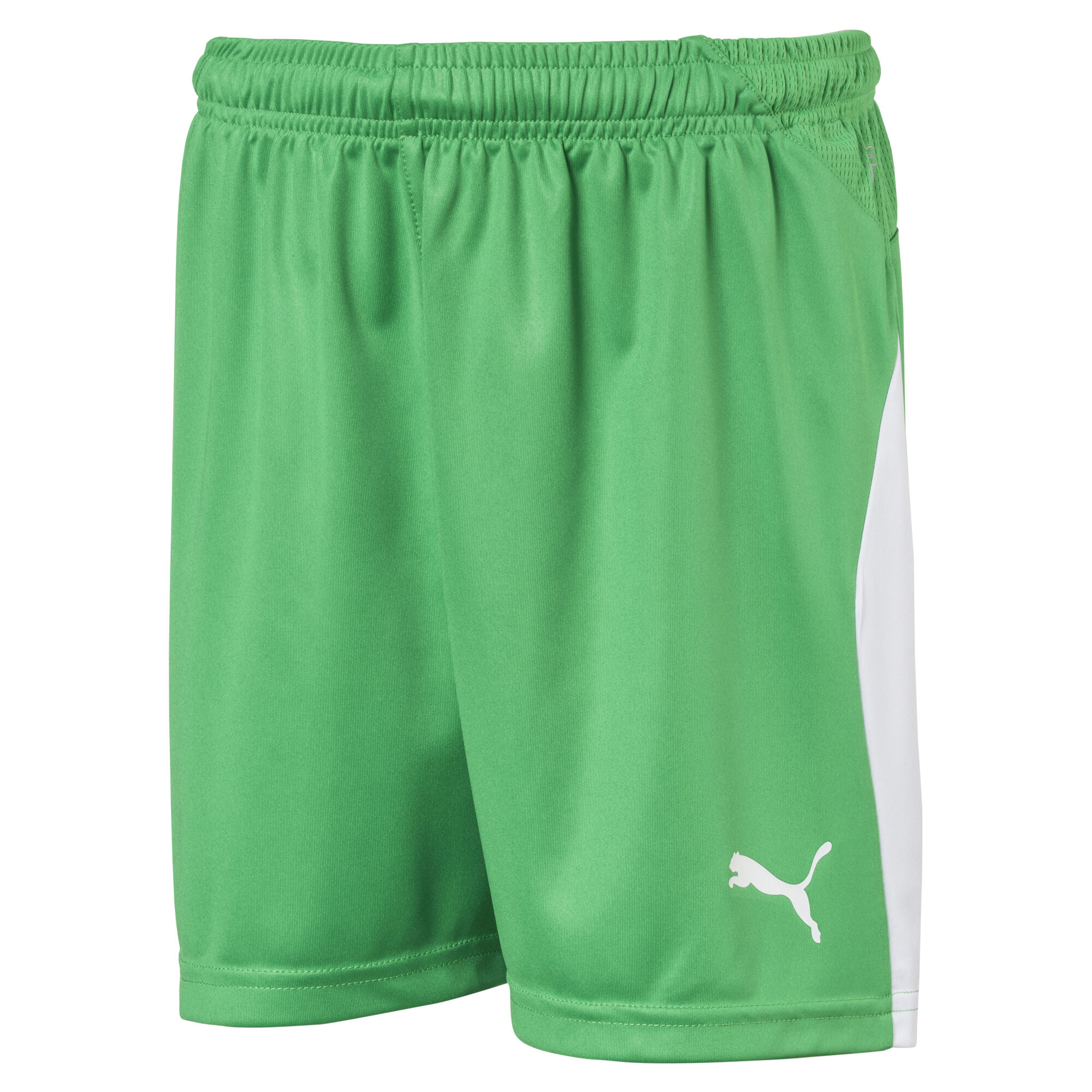 Green short. Шорты Puma Fussball. Шорты Puma детские. Team Liga shorts Jr Puma. 70343704 Liga shorts Core Jr Puma White-Puma Blac.