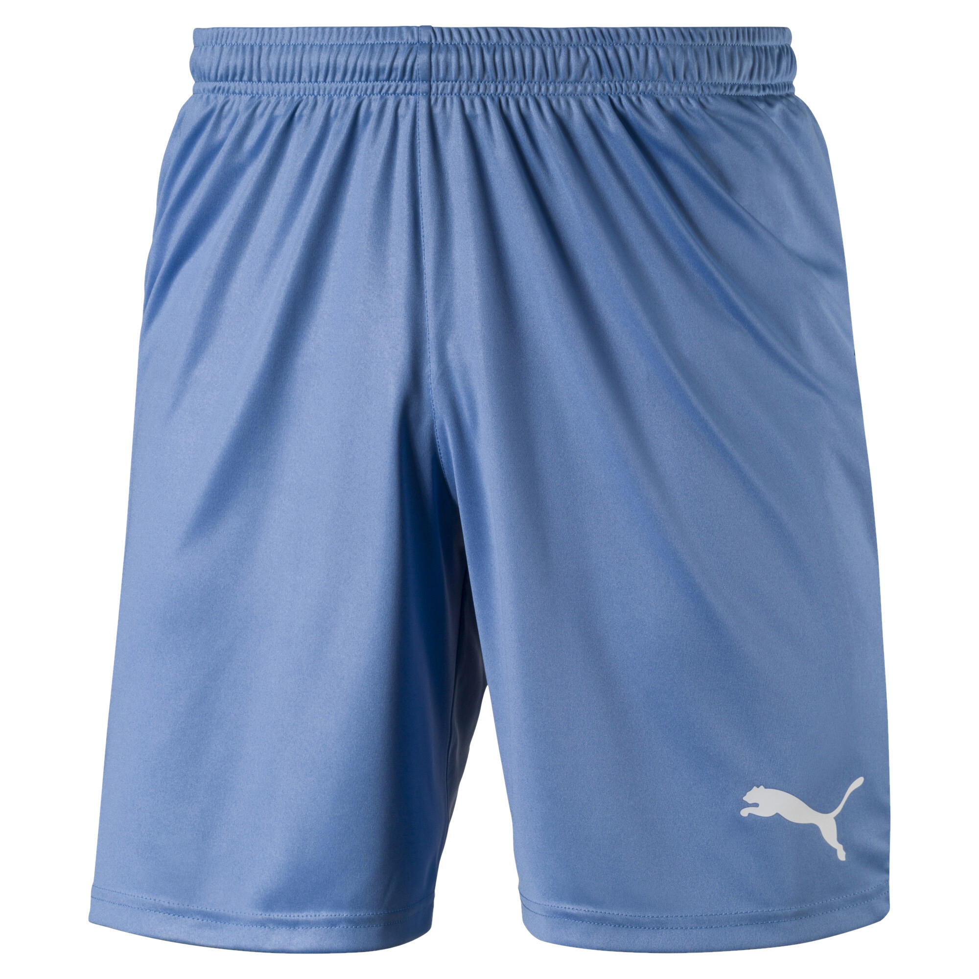 Puma liga shop shorts mens