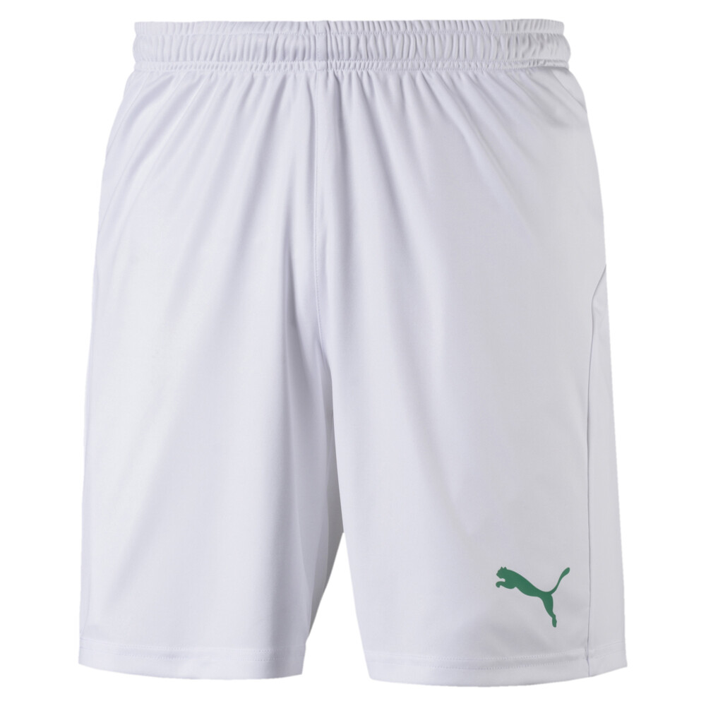 

PUMA - male - Шорты LIGA Core Men’s Shorts with Brief – Puma White-Pepper Green –, Белый