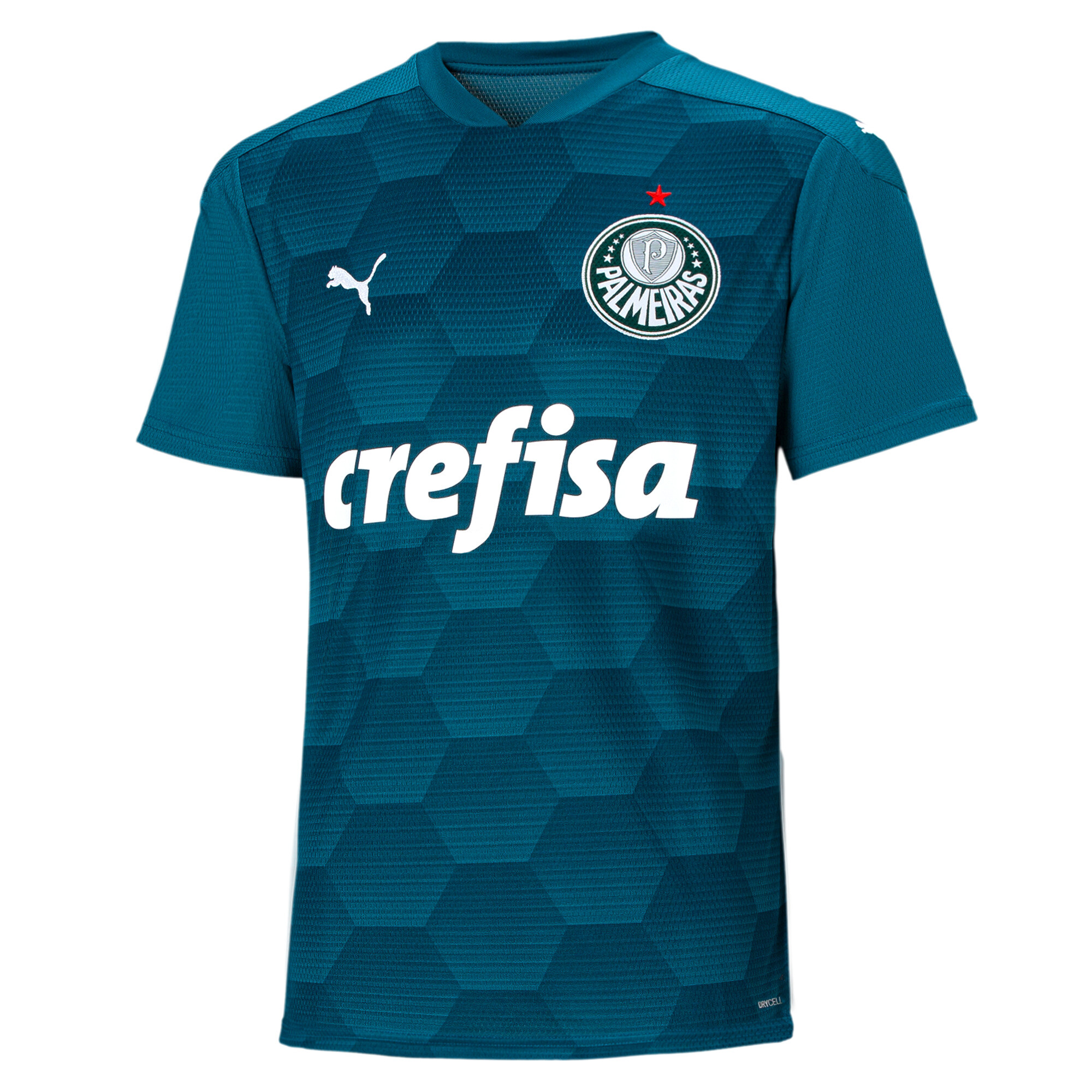 camisa 3 palmeiras puma