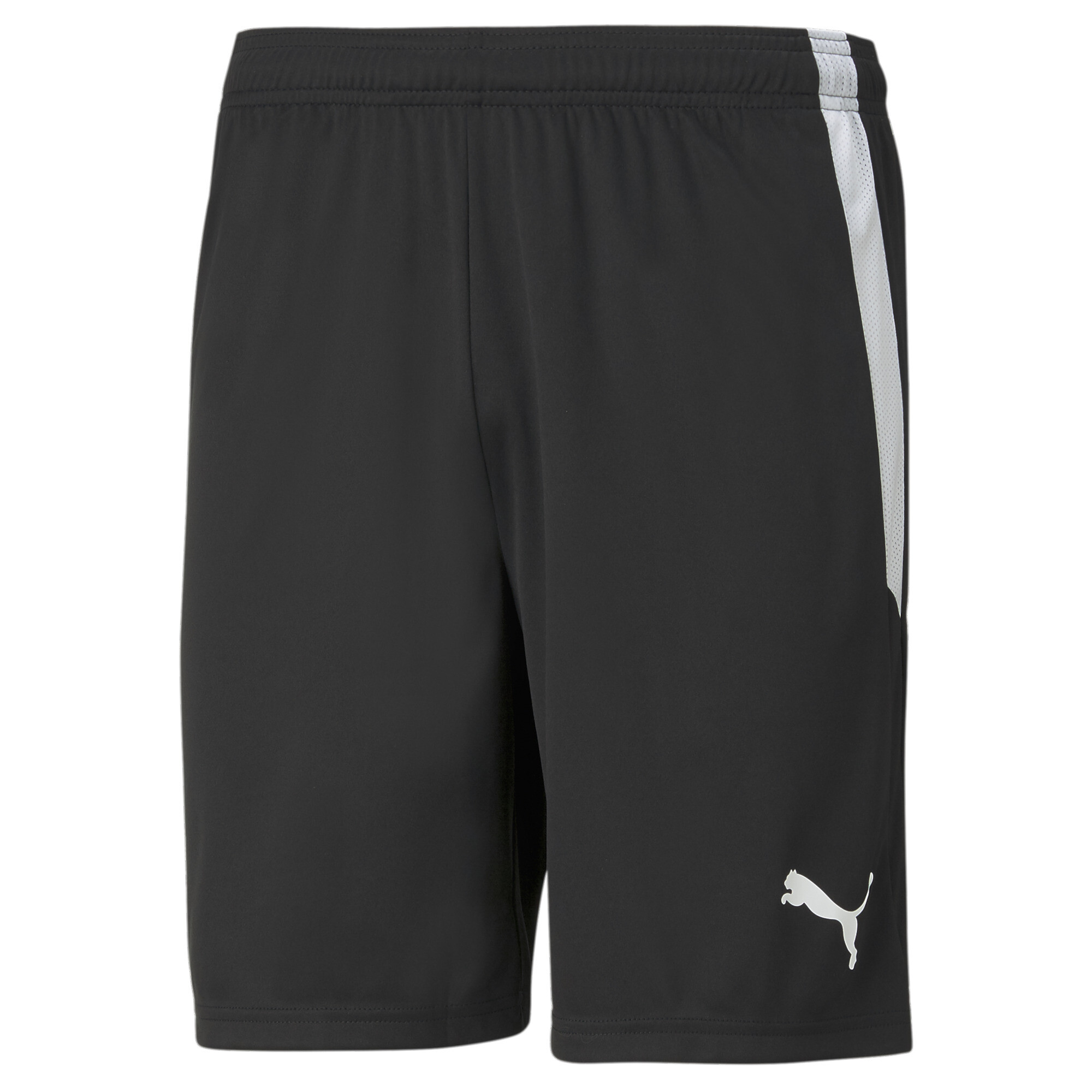 Men's Puma Team LIGA's Football Shorts, Black, Size L, Sport