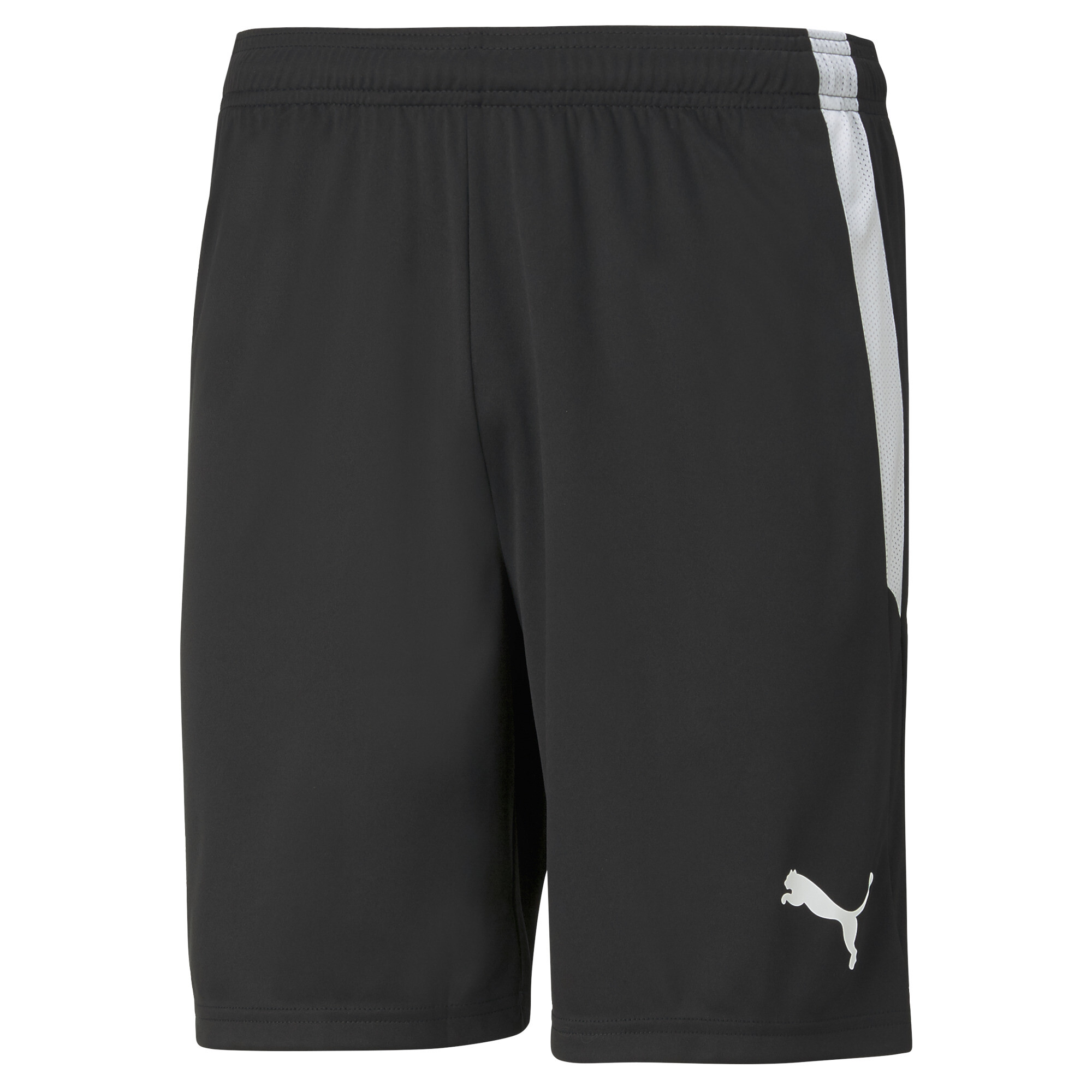 Men's Puma Team LIGA's Football Shorts, Black, Size XL, Sport