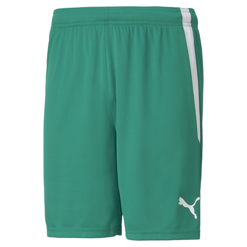 

Men's PUMA teamLIGA Football Shorts