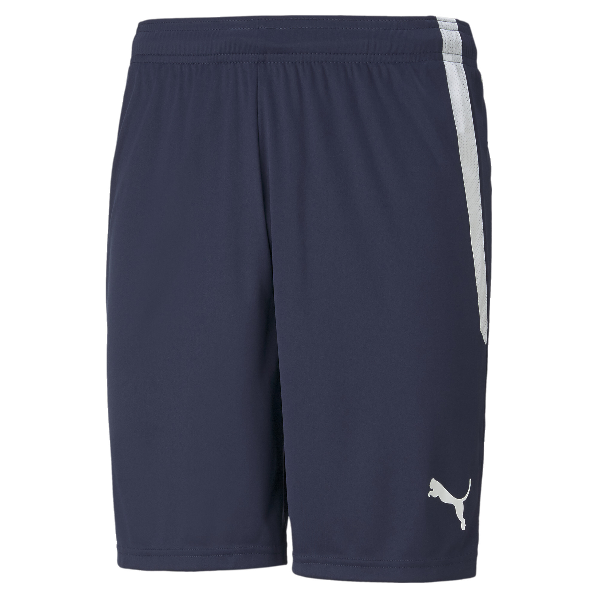 PUMA teamLIGA Football Shorts Knitted Sports Pants - Mens