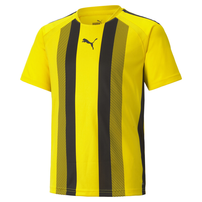 

PUMA teamLIGA Striped Kid's Jersey