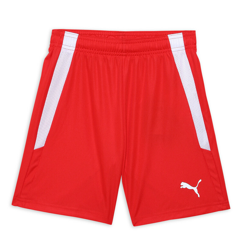 

PUMA teamLIGA Kid's Football Shorts