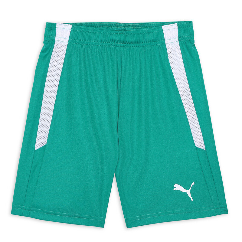 

PUMA teamLIGA Kid's Football Shorts