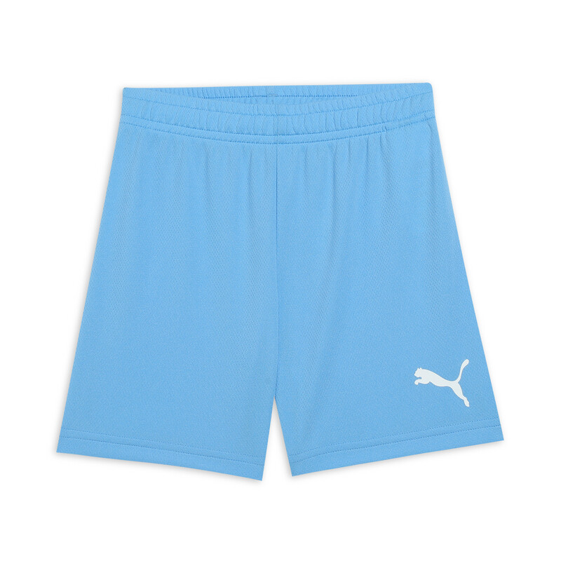 

PUMA teamRISE Youth Football Shorts