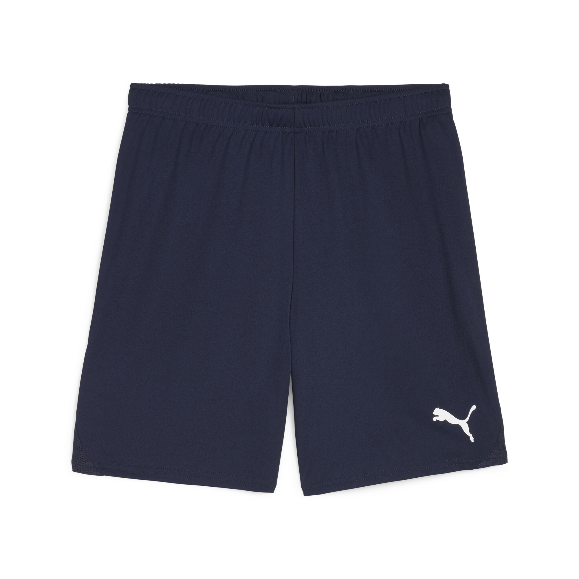 PUMA teamGOAL Men's Soccer Shorts in Blue, Size S