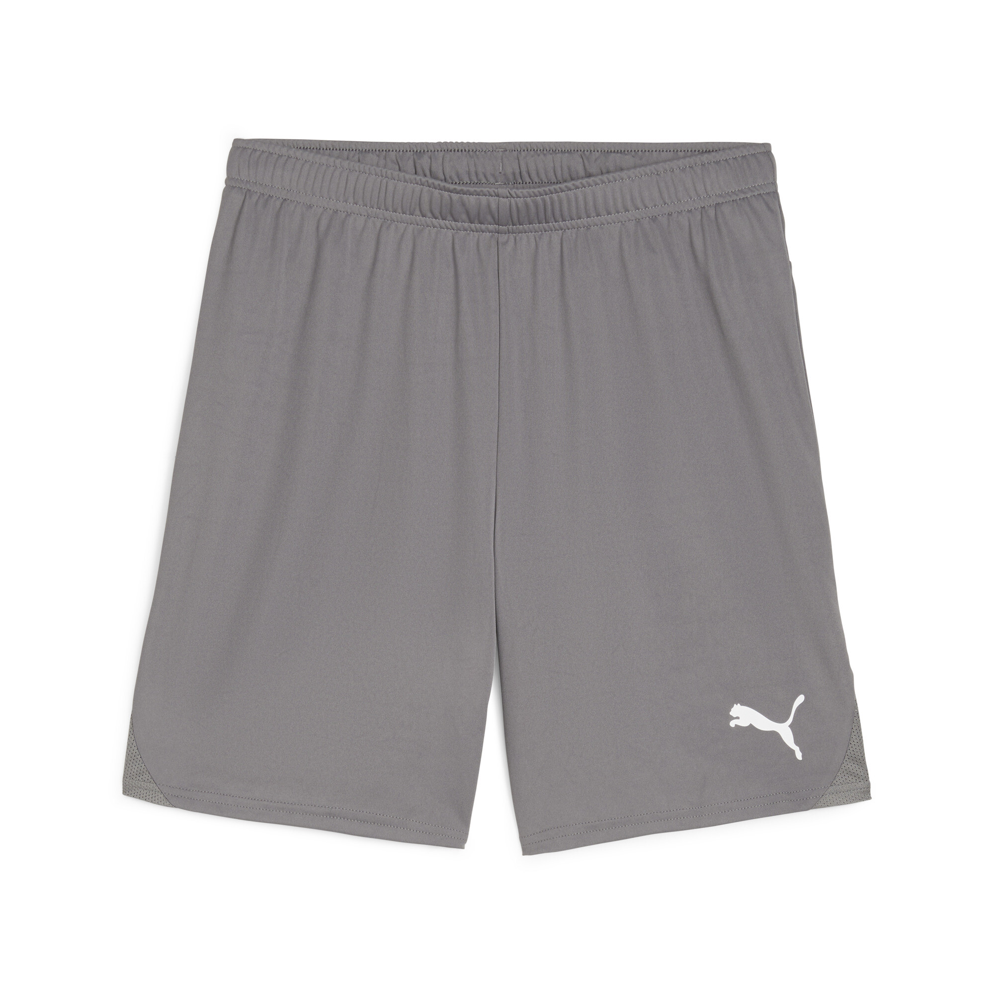 PUMA teamGOAL Men's Soccer Shorts in Grey, Size M