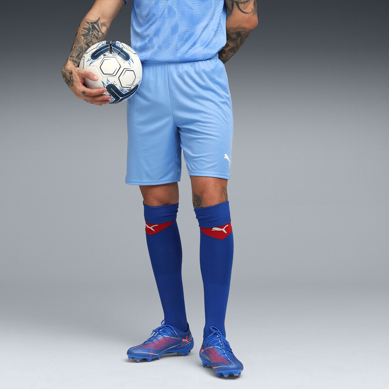 

Men's PUMA teamGOAL Football Shorts
