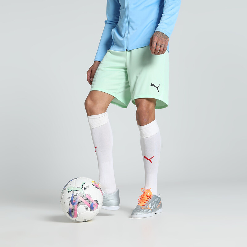 

Men's PUMA teamGOAL Football Shorts