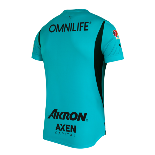 Chivas GK Home Pro Men's Jersey 24-25, Team Aqua, large-MEX