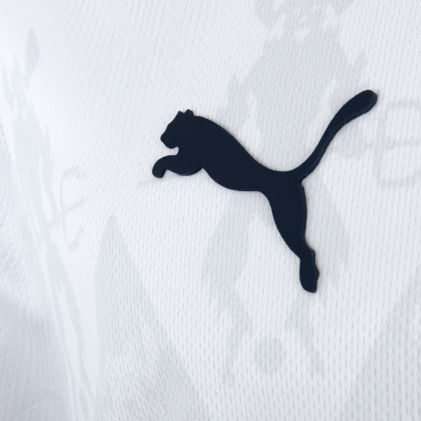 Camiseta CAI AWAI 24/25, PUMA White, large-ARG