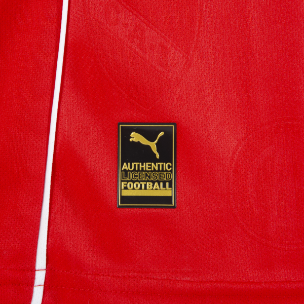 CAMISETA CAI HOME Manga Larga, PUMA Red, large-ARG