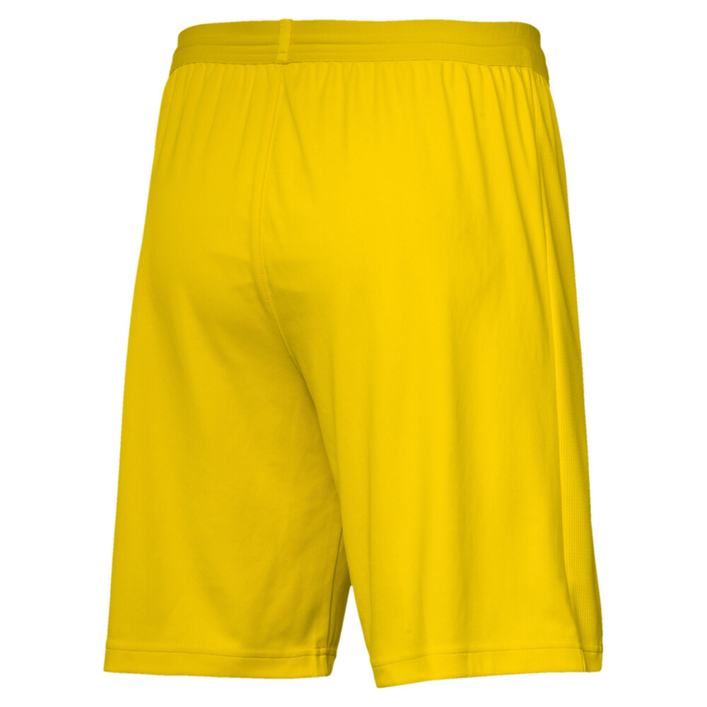 фото Шорты bvb shorts replica puma