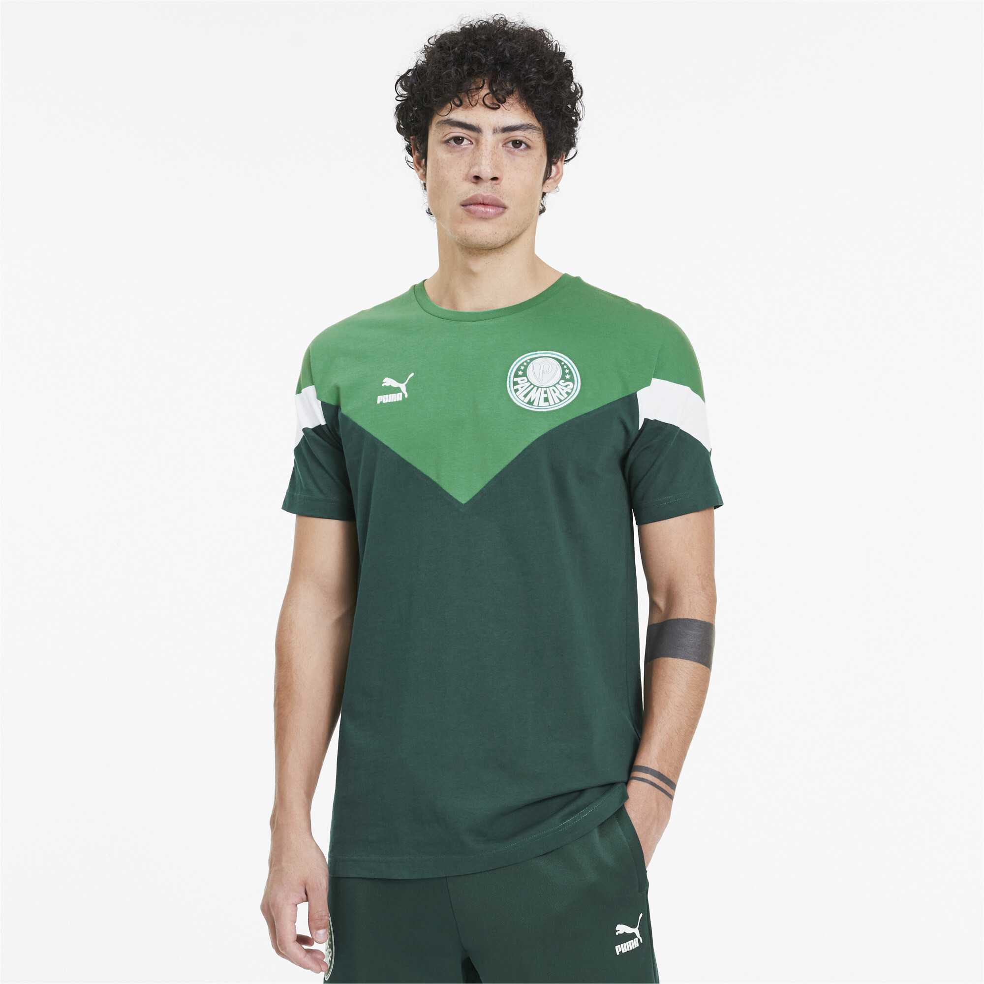 camisas masculinas do palmeiras