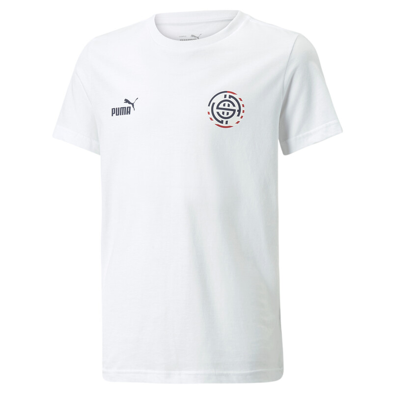 

PUMA ftblCore Fan Youth T-Shirt