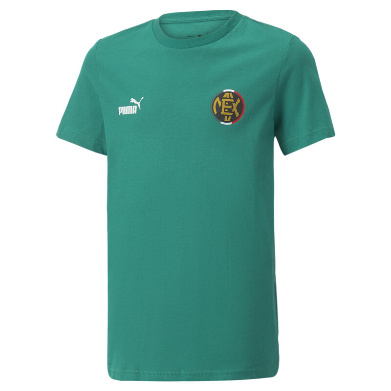 PUMA ftblCore Fan Youth T-Shirt