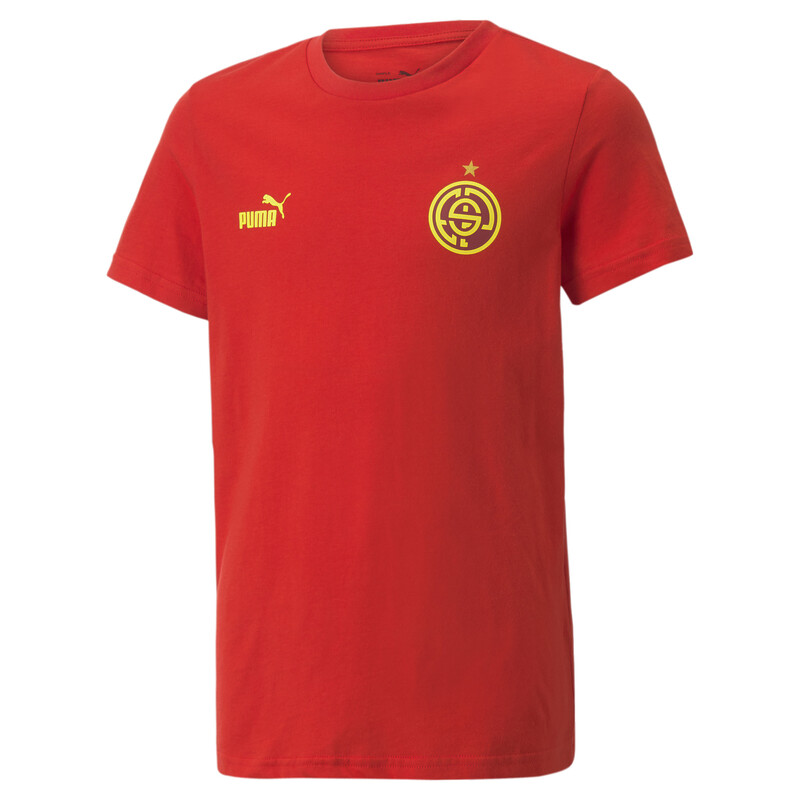 

PUMA ftblCore Fan Youth T-Shirt