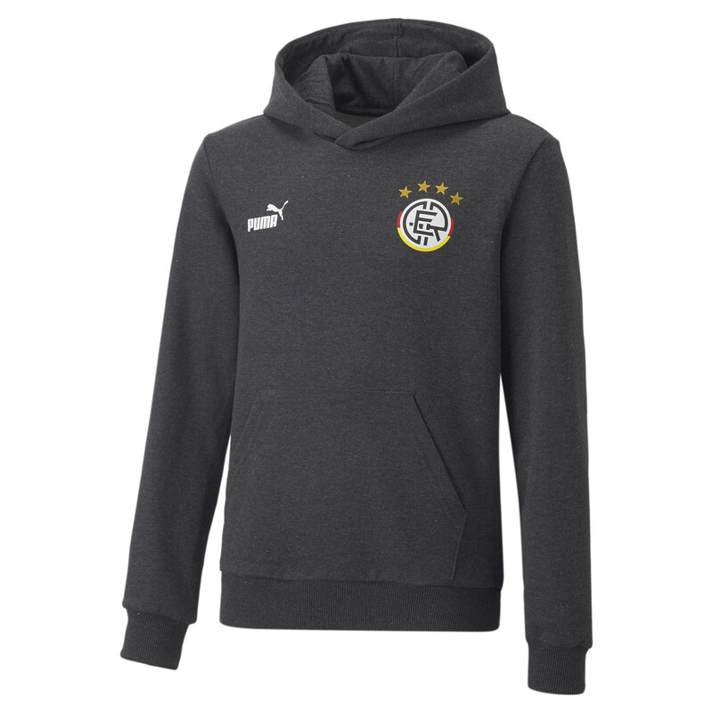 

PUMA ftblCore Fan Youth Hoodie