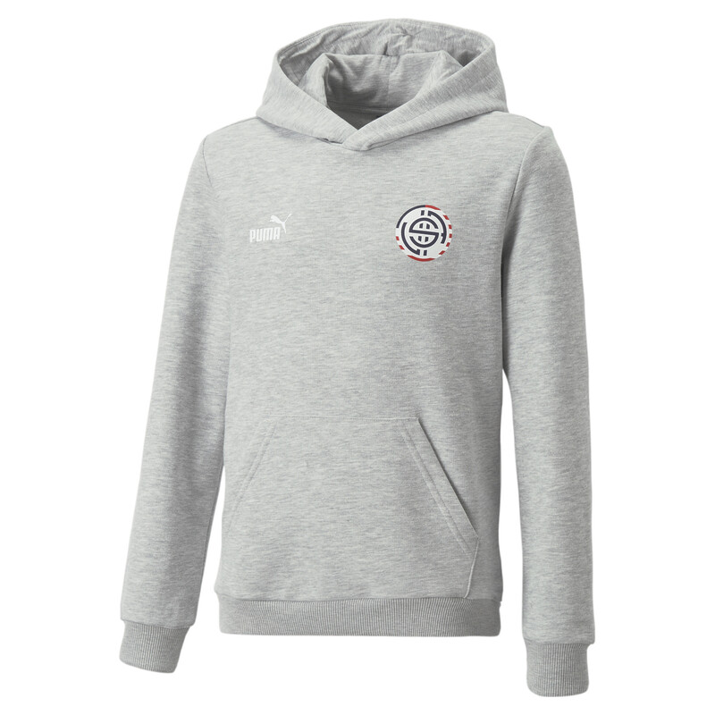 

PUMA ftblCore Fan Youth Hoodie