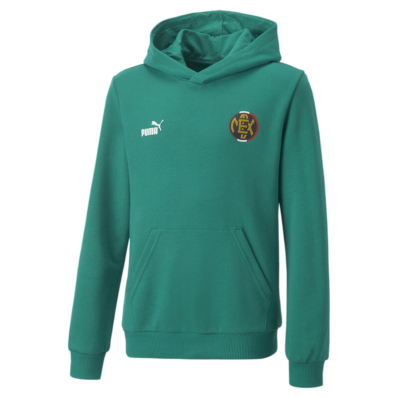 

PUMA ftblCore Fan Youth Hoodie