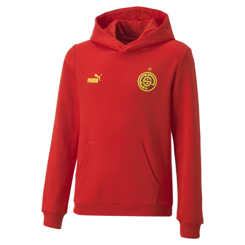 

PUMA ftblCore Fan Youth Hoodie