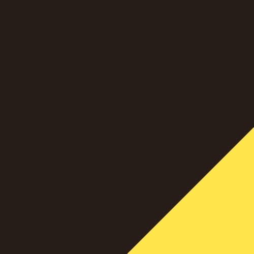 Puma Black-Vibrant Yellow