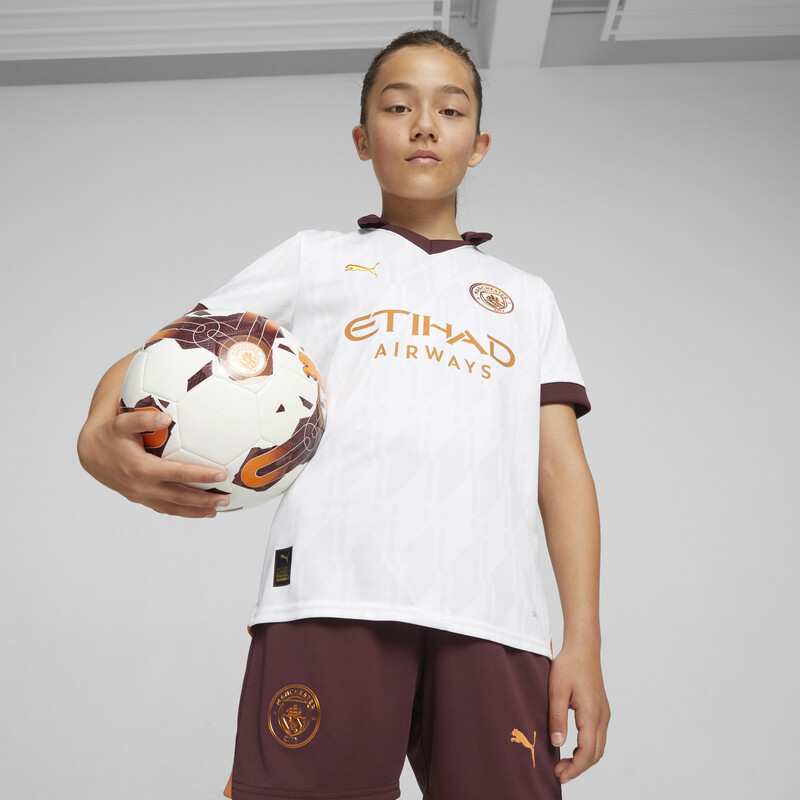 

PUMA Manchester City 23/24 Youth Football Away Jersey