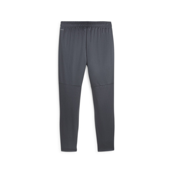 Pantalones de training para fútbol del Manchester City, Strong Gray-Aubergine, large-ARG