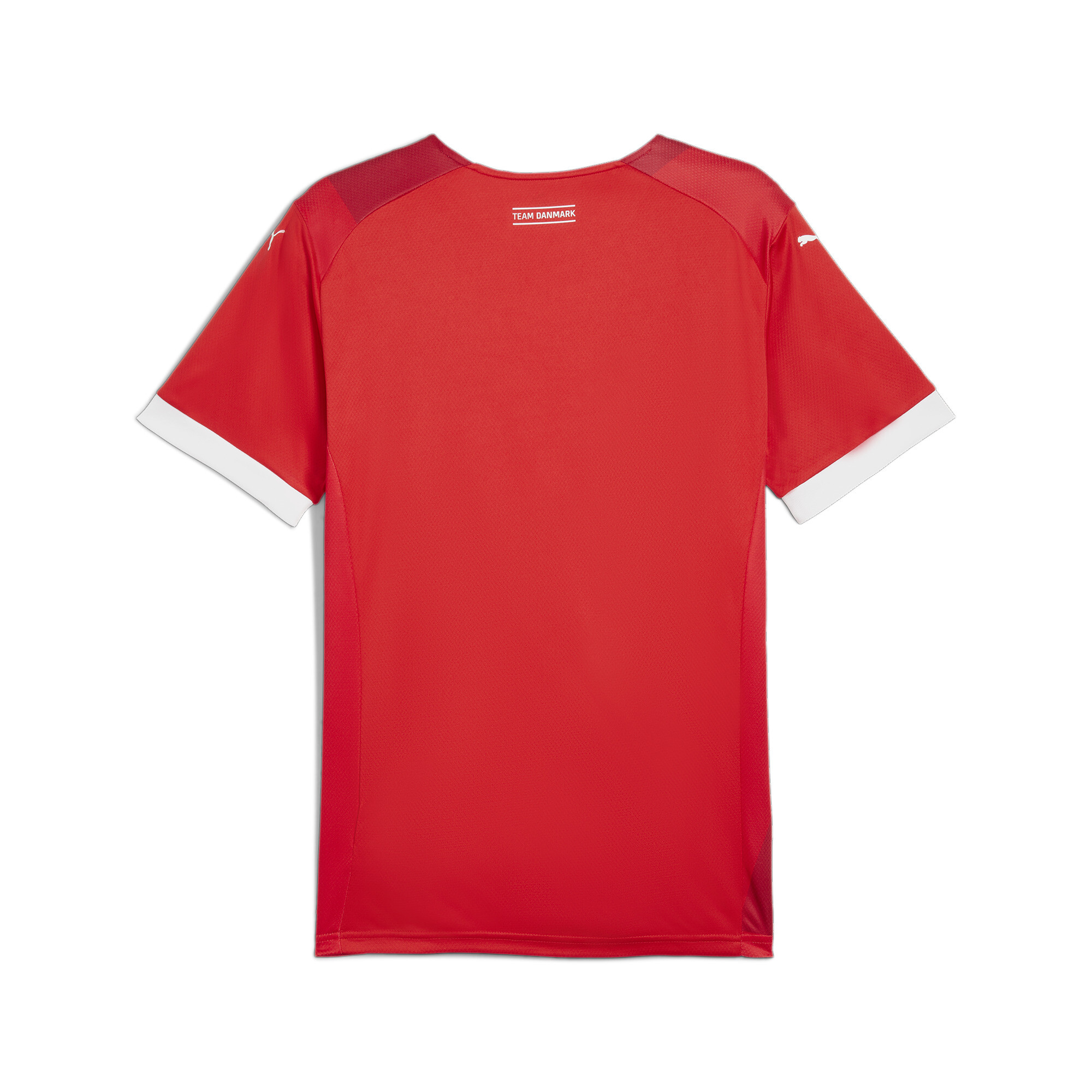 Men's Puma Denmark Handball's Home Jersey, Red, Size S, Clothing