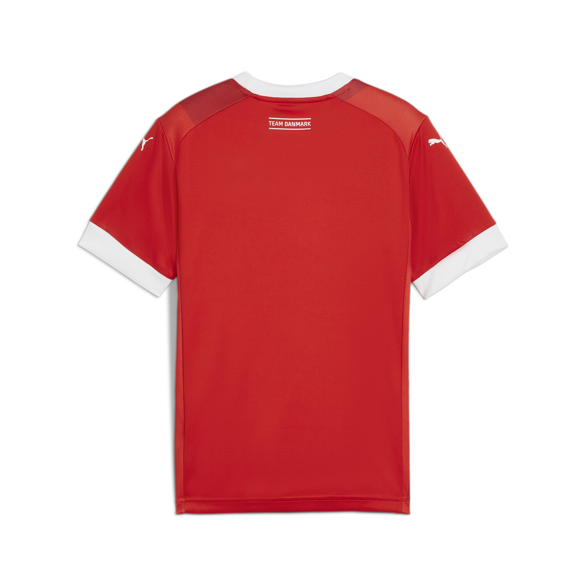 Maillot De Handball Home Danemark Enfant Et Adolescent