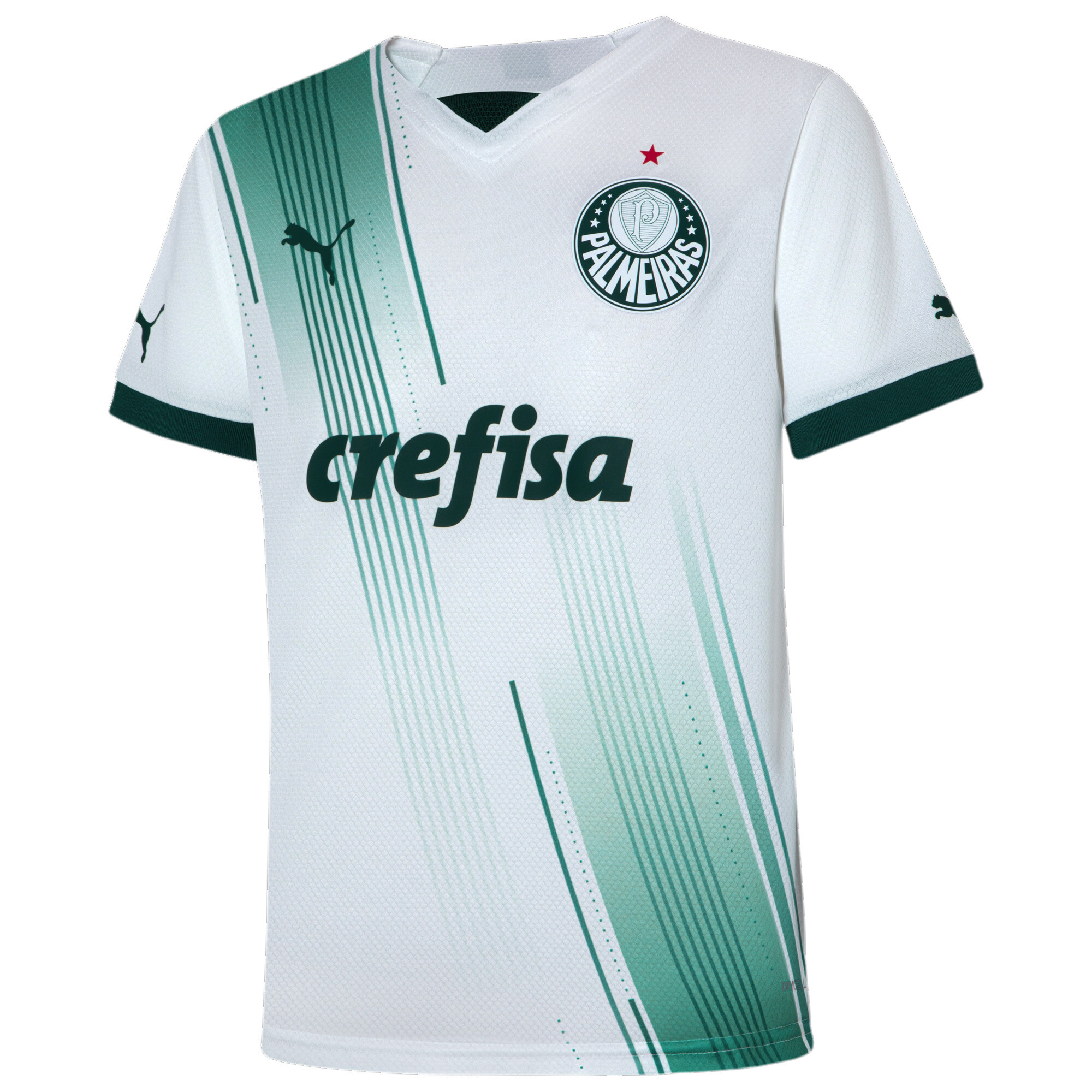 Camisa do palmeiras infantil 2024 2019