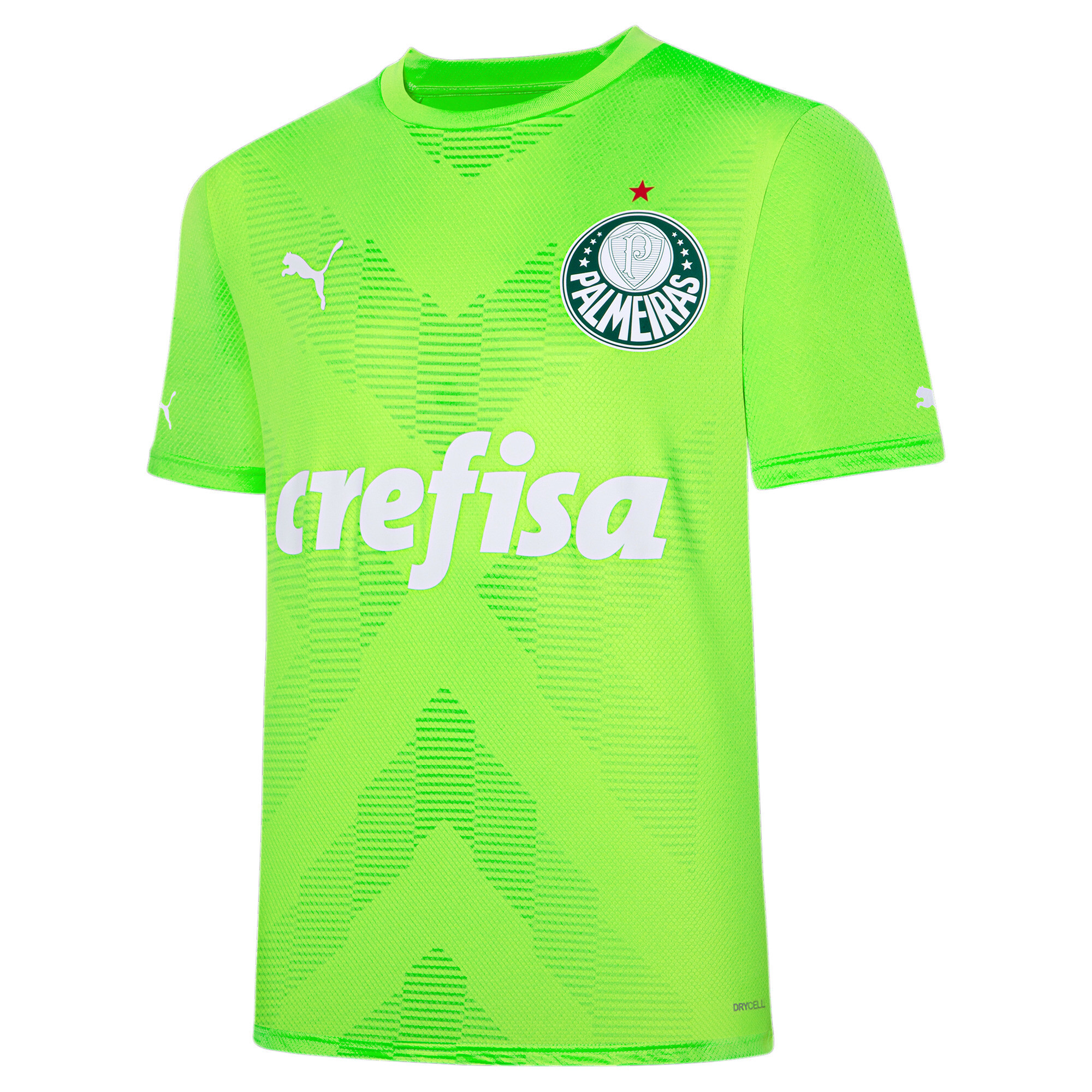 Camiseta do Palmeiras Cult 20 Puma - Masculina