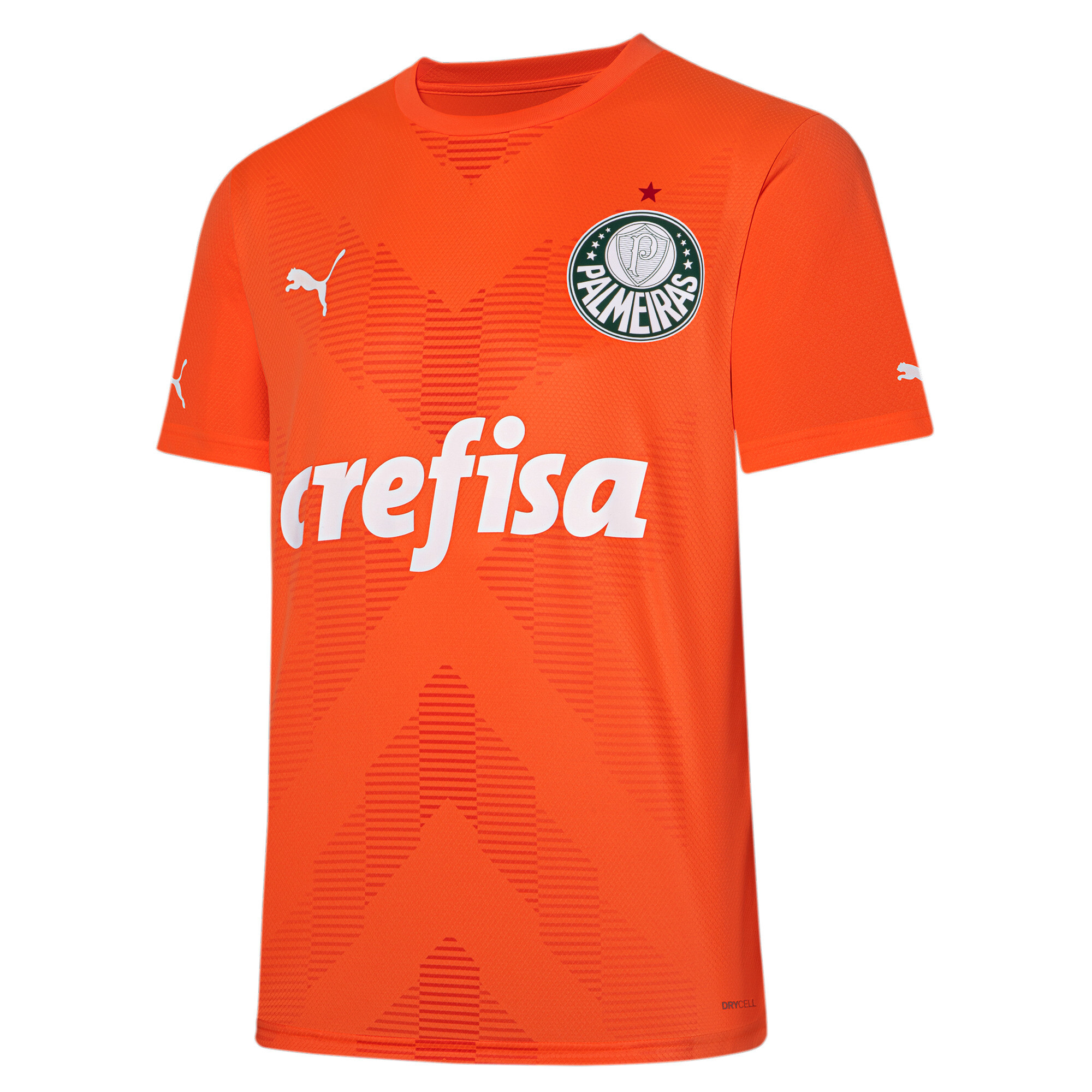 Camiseta do Palmeiras Cult 20 Puma - Masculina