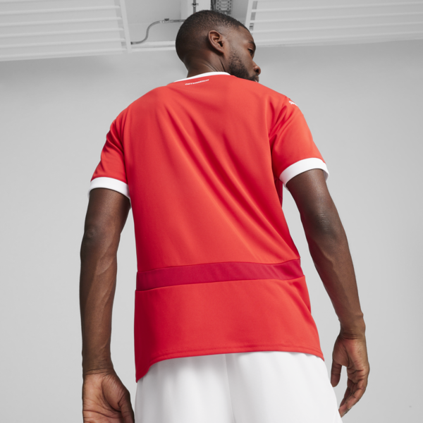 Austria 2024 Home Jersey Men, PUMA Red-Chili Pepper, large-ZAF