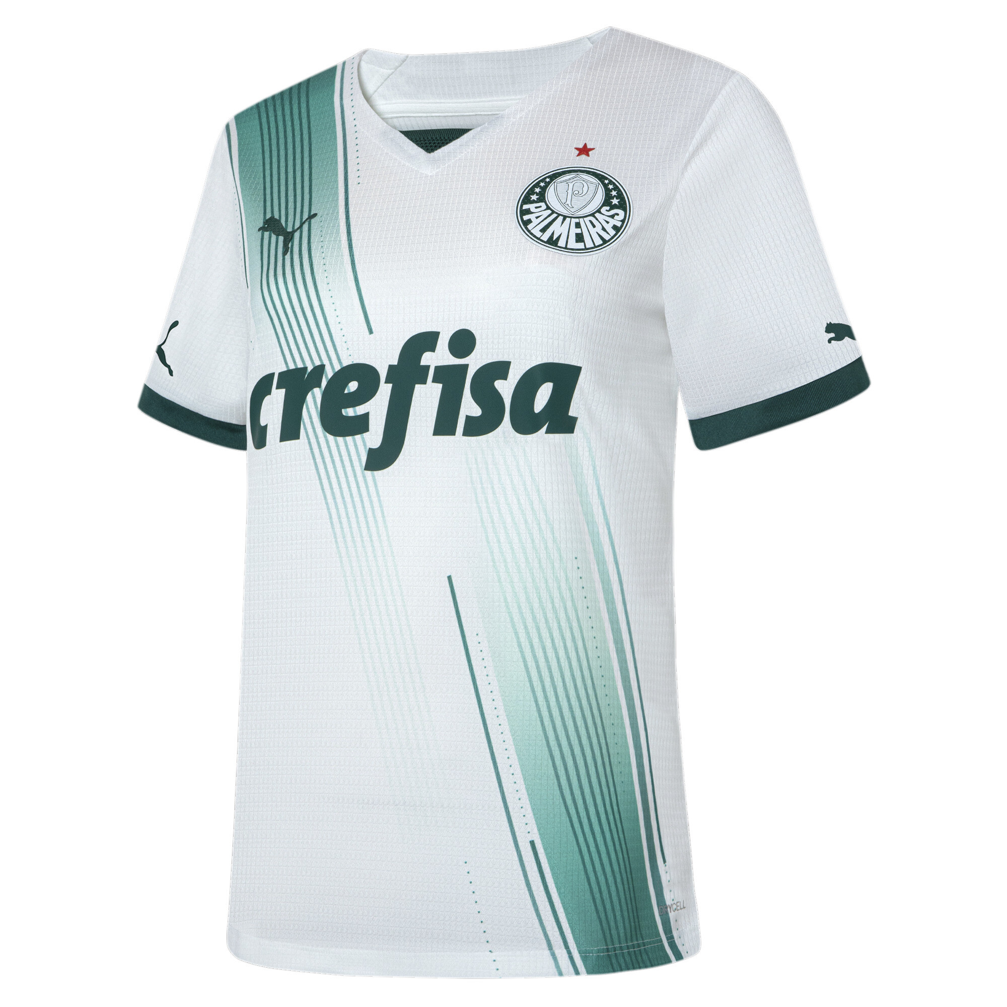 Coleção Palmeiras