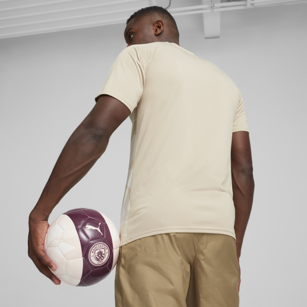 Camiseta prepartido MCFC, Granola-Aubergine, large-ARG