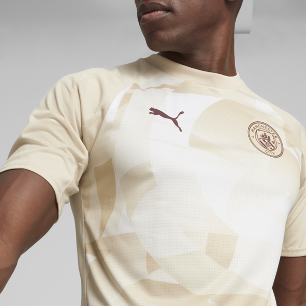 Camiseta prepartido MCFC, Granola-Aubergine, large-ARG