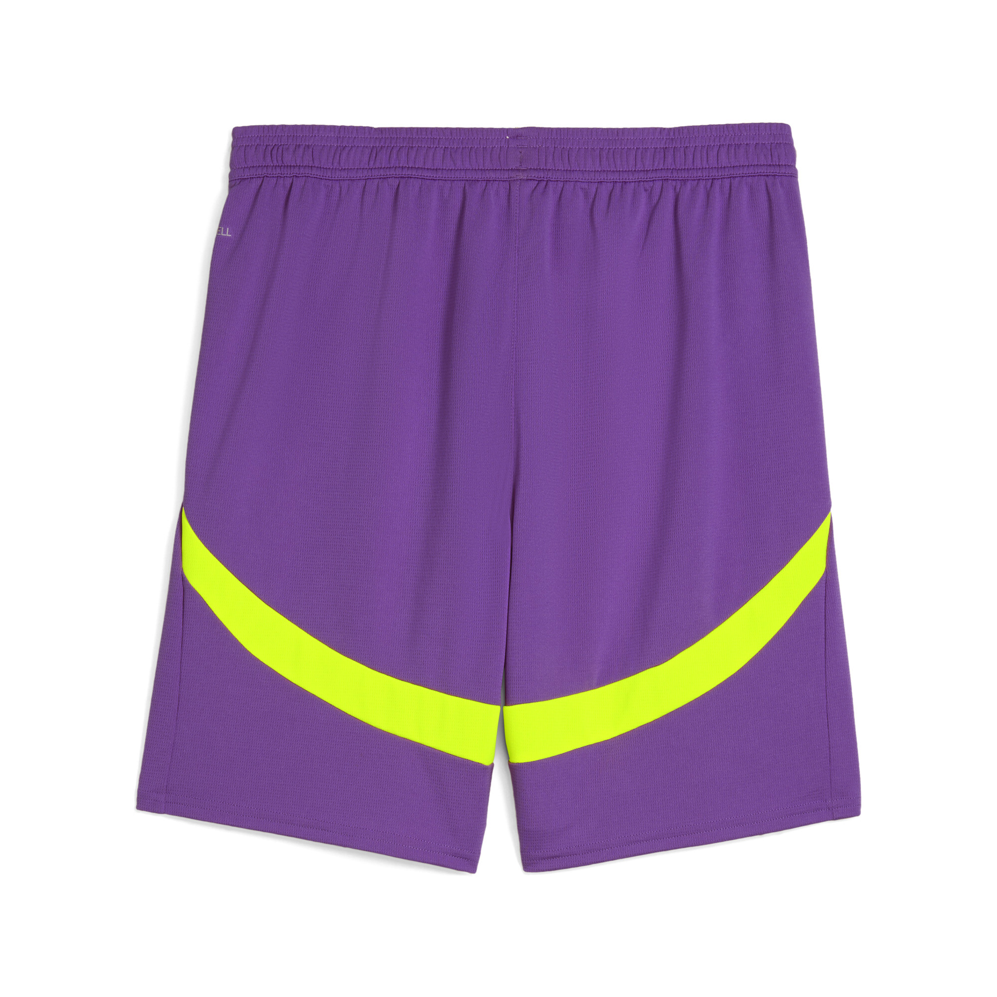 PUMA Borussia Dortmund 24/25 short voor Heren, Geel/Paars