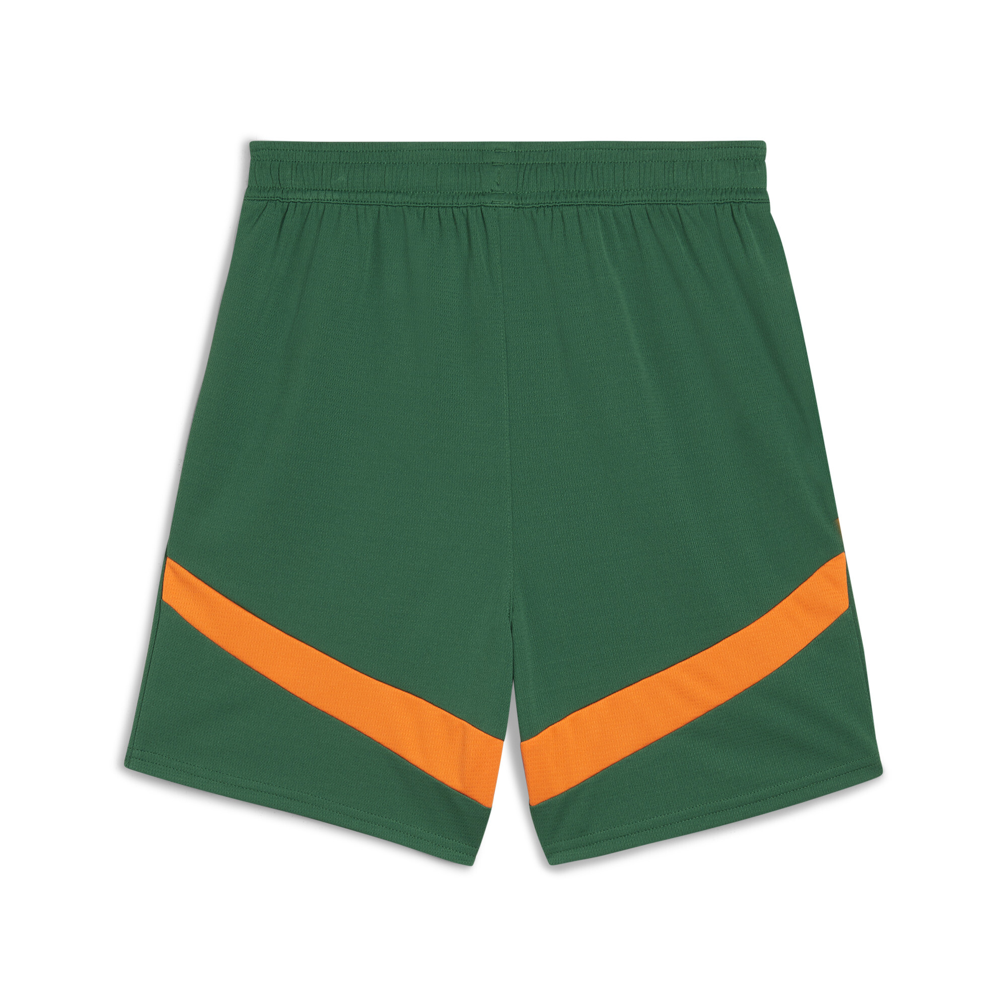 Puma Valencia CF 24/25 Shorts Youth, Green, Size 13-14Y, Clothing