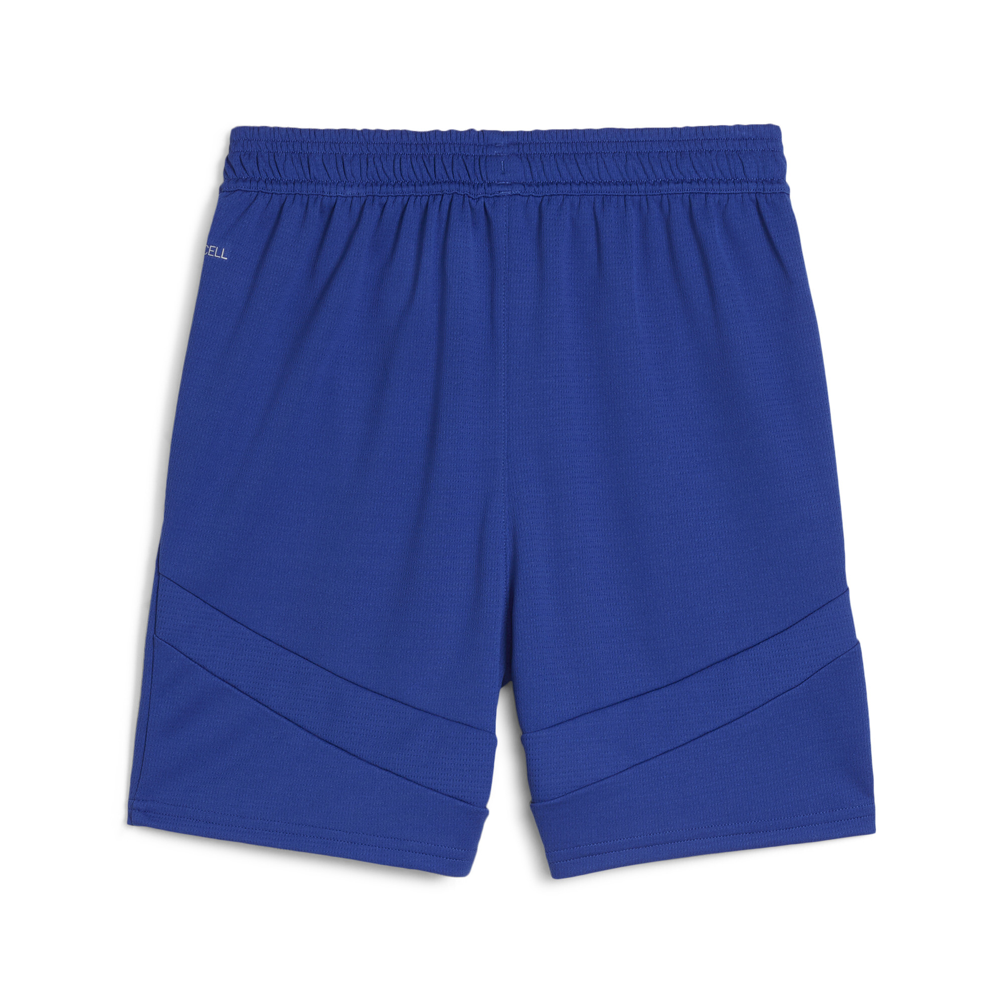 Puma PSV Eindhoven Shorts Youth, Blue, Size 13-14Y, Clothing