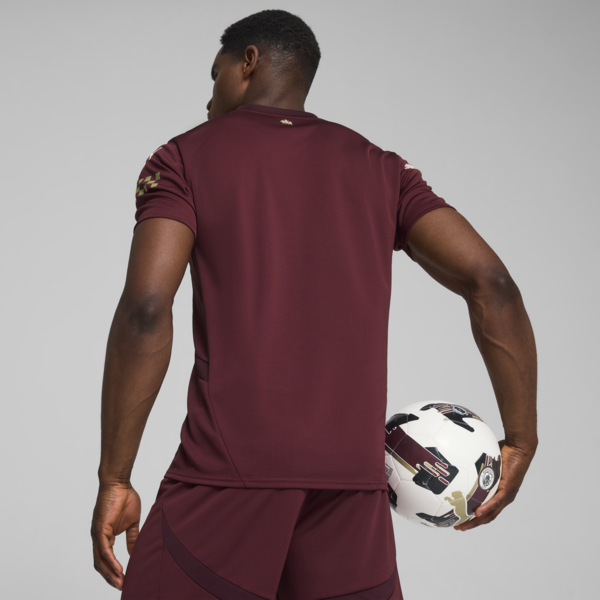 Jersey alternativo Hombre Manchester City 24/25, Dark Jasper, large-MEX