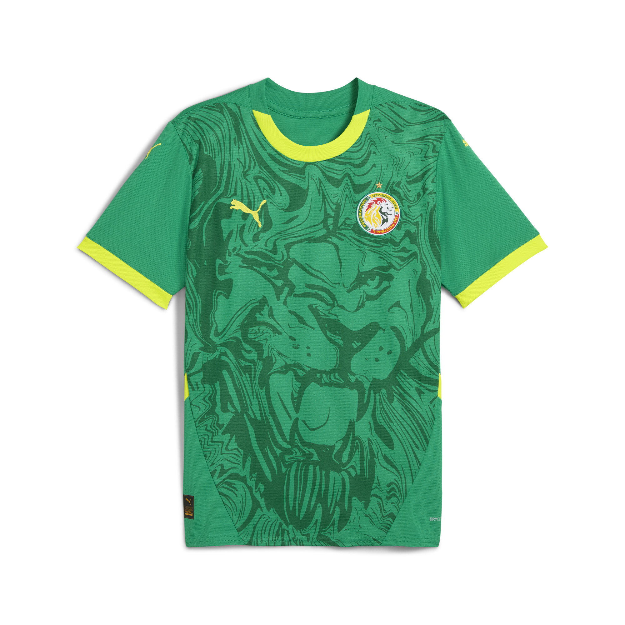 PUMA Senegal 2025 uithsirt voor Heren, Groen, Maat 3XL thumbnail 3