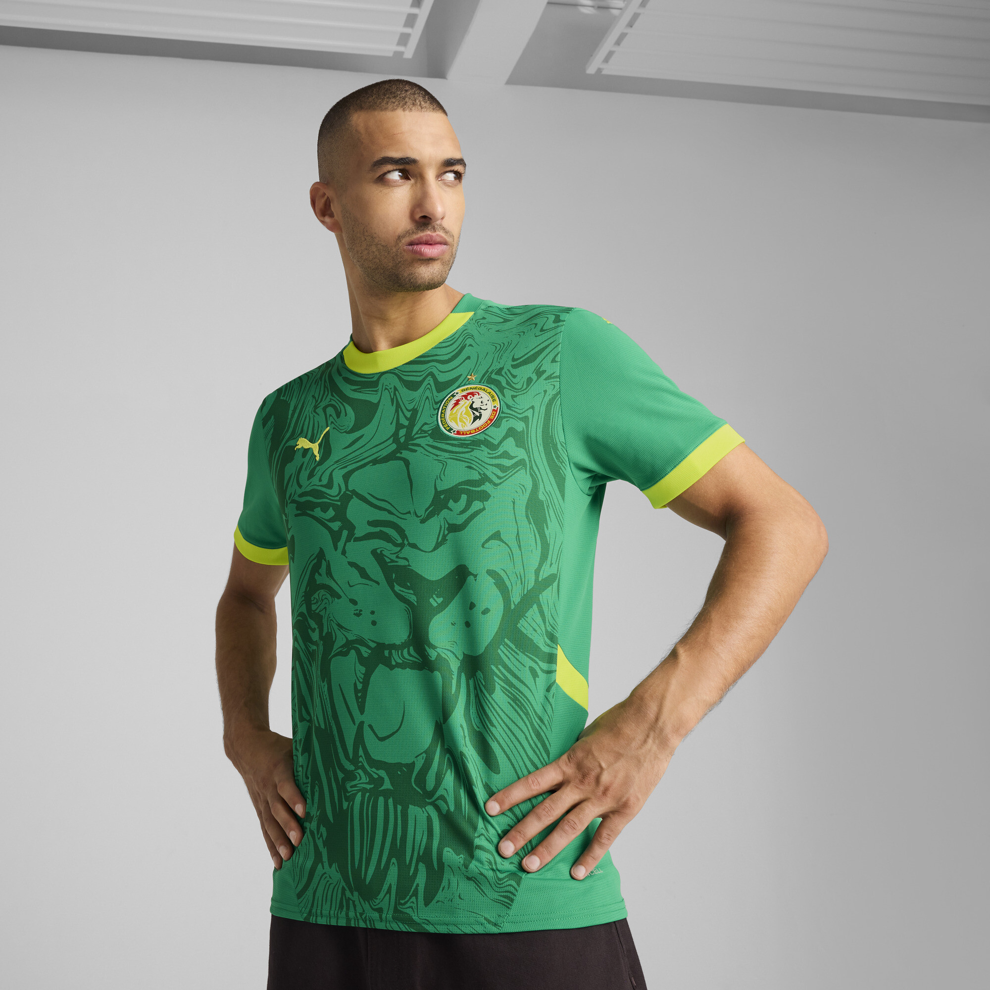 Puma Senegal 2025 Auswärtstrikot Herren | Mit Print | Sport Green/Electric Lime | Größe: XL